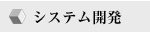 システム開発