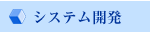 システム開発
